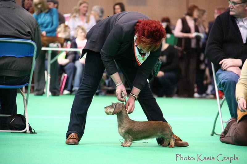 Crufts2011_2 1441.jpg